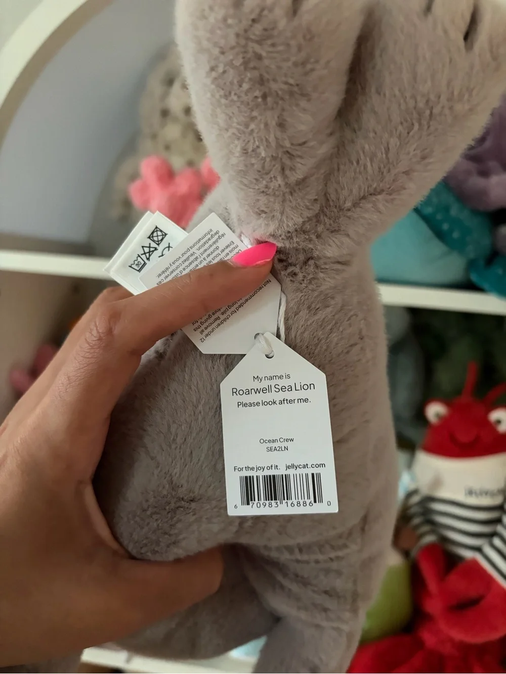 Jellycat Roarwell Sea Lion - Authentic & BNWT